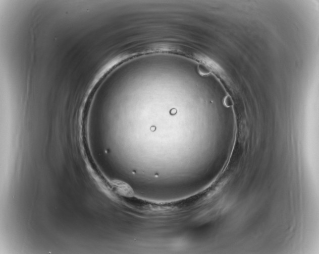 X0000085781039200703161201