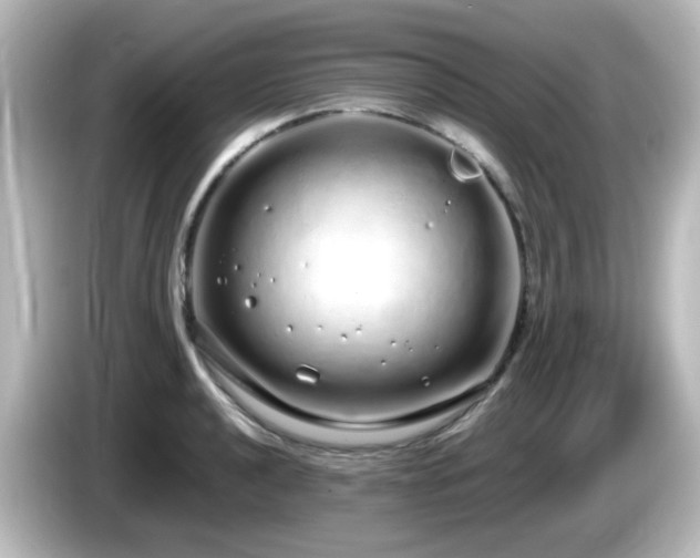 X0000085781040200703161201