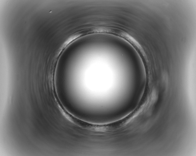 X0000085781041200703161201