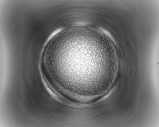 X0000085781042200703161201