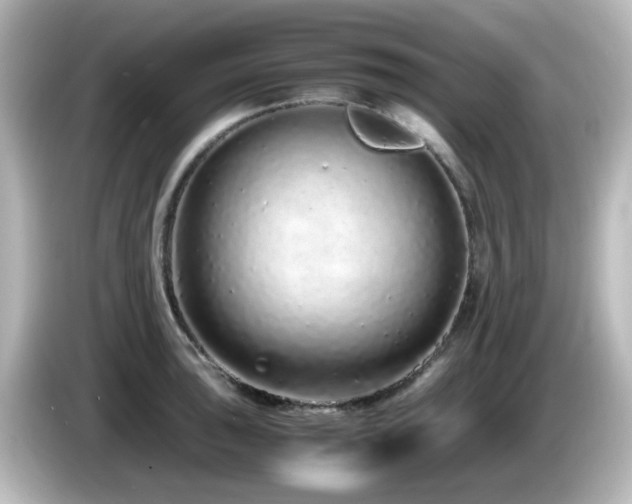 X0000085781043200703161201