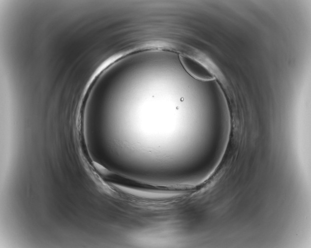 X0000085781044200703161201