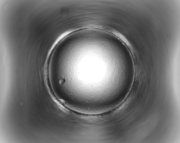 X0000085781048200703161201