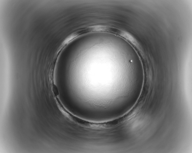 X0000085781049200703161201