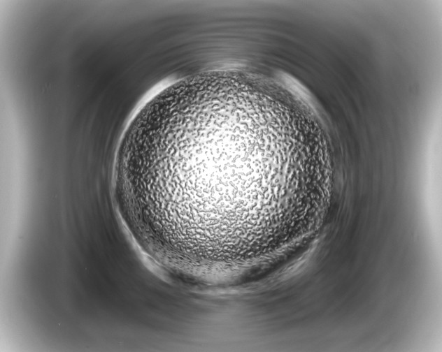 X0000085781050200703161201