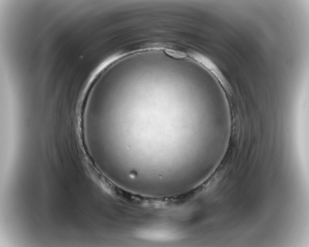 X0000085781051200703161201