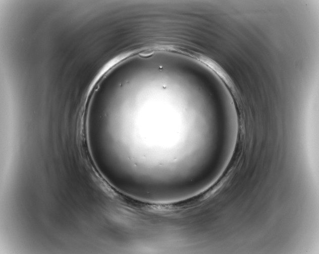 X0000085781052200703161201