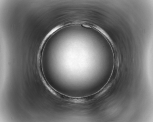 X0000085781053200703161201