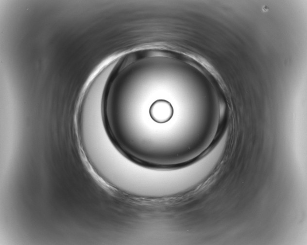 X0000085781054200703161201