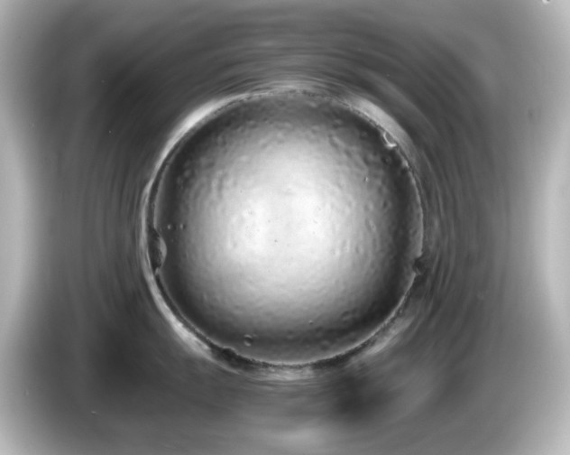 X0000085781055200703161201