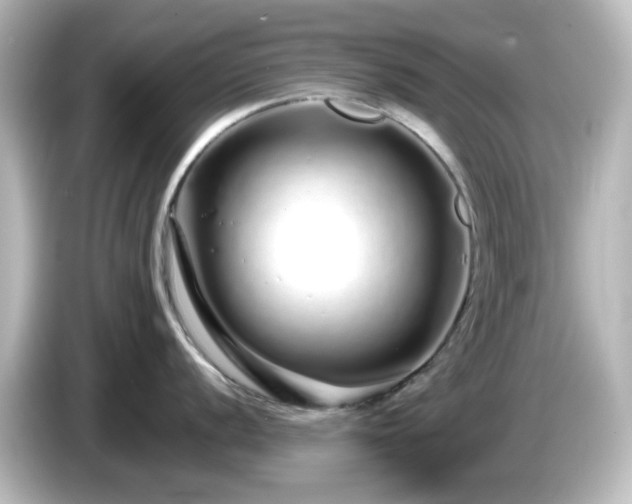 X0000085781056200703161201