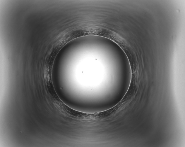 X0000085781058200703161200
