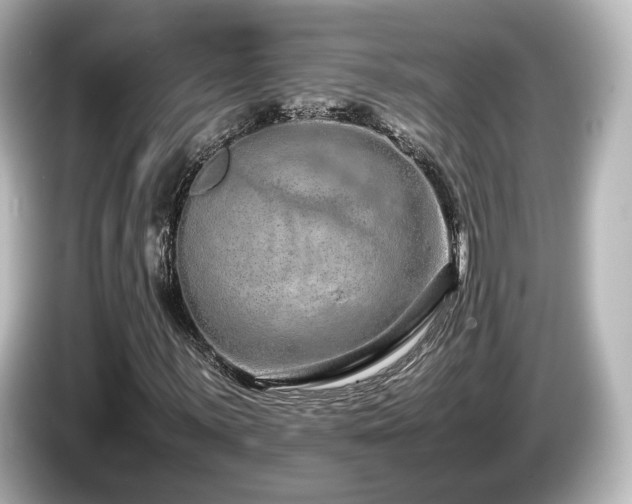 X0000085781059200703161200