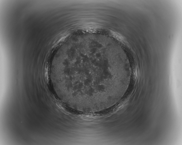 X0000085781060200703161200