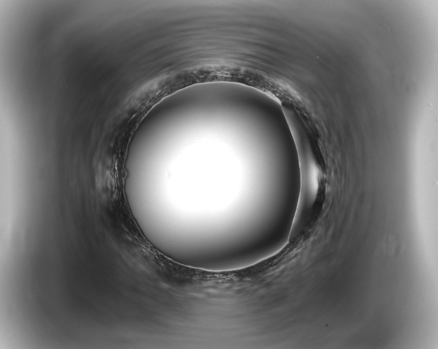 X0000085781062200703161200