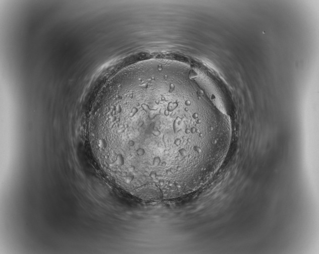 X0000085781063200703161200