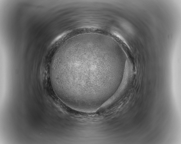 X0000085781064200703161200