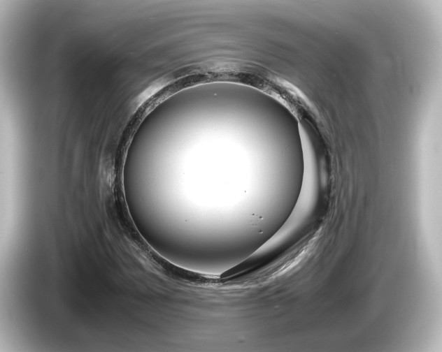 X0000085781065200703161200