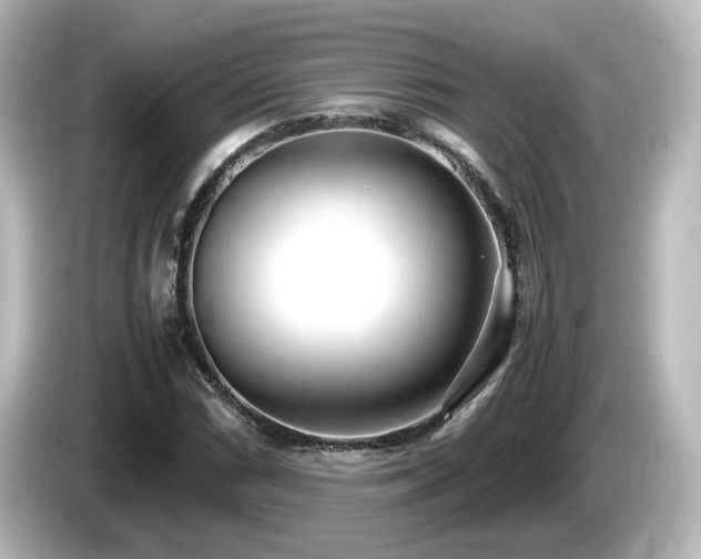 X0000085781066200703161200