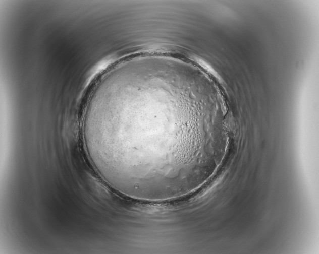 X0000085781067200703161200