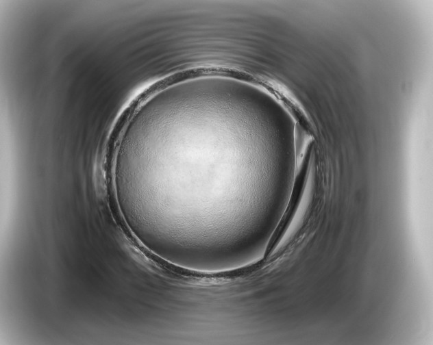 X0000085781068200703161200