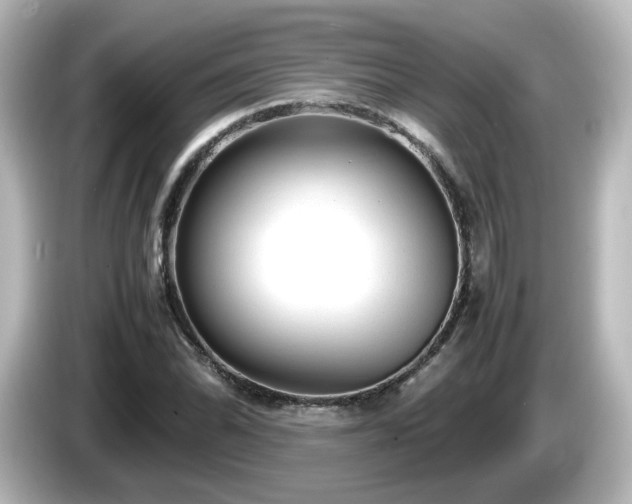 X0000085781070200703161200