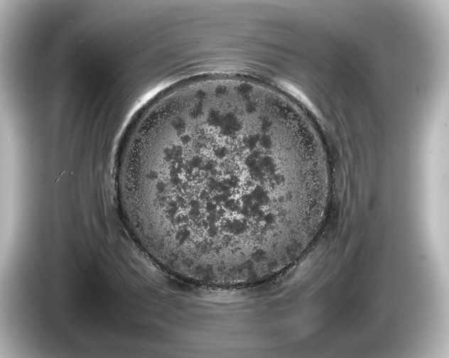 X0000085781071200703161200