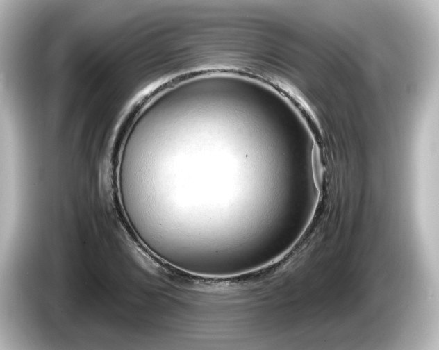 X0000085781072200703161200