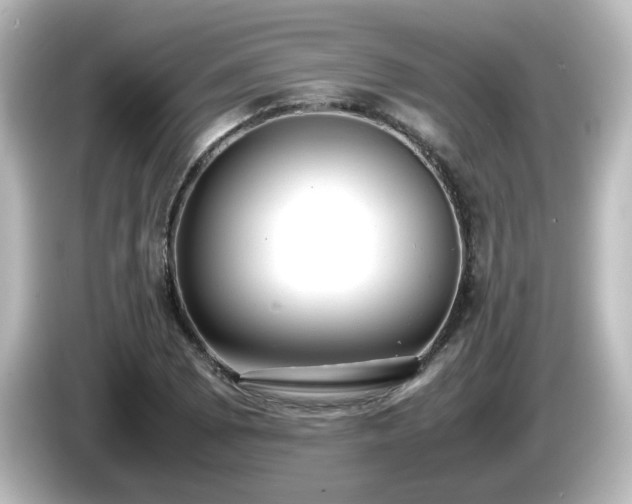 X0000085781073200703161200