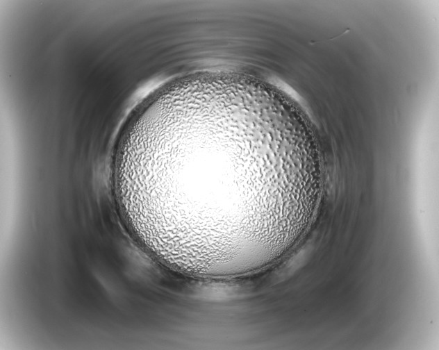 X0000085781074200703161200