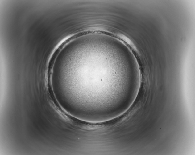 X0000085781076200703161200