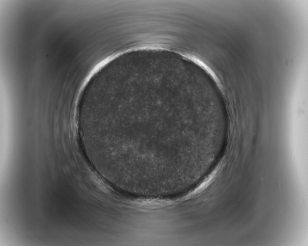 X0000085781077200703161200