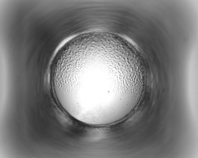 X0000085781078200703161200