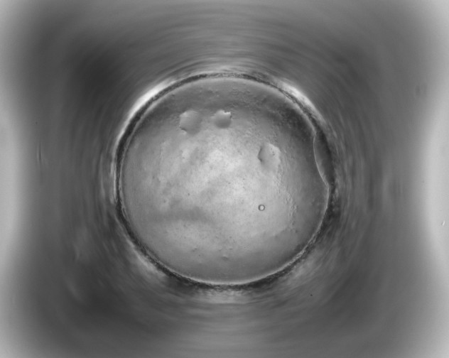 X0000085781079200703161200