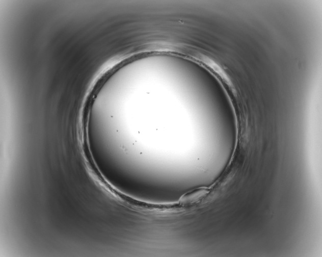 X0000085781080200703161200