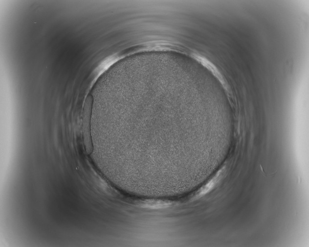 X0000085781081200703161200