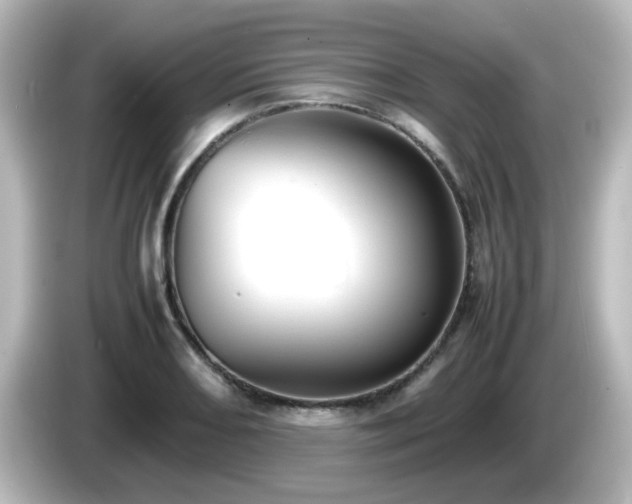 X0000085781082200703161200