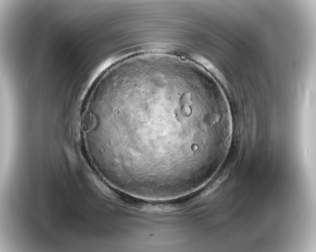 X0000085781083200703161200