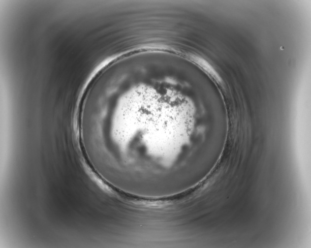 X0000085781084200703161200