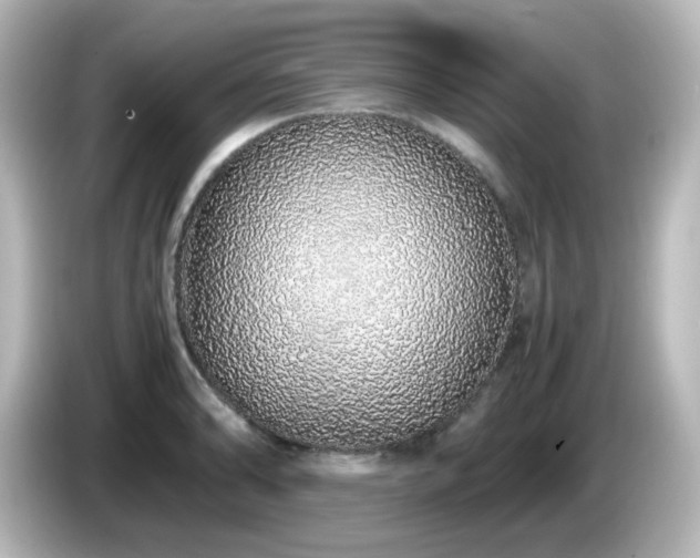 X0000085781086200703161200