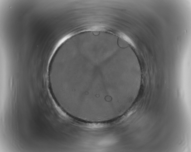 X0000085781087200703161200