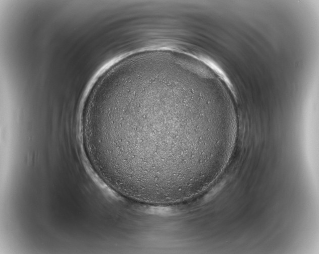 X0000085781088200703161200