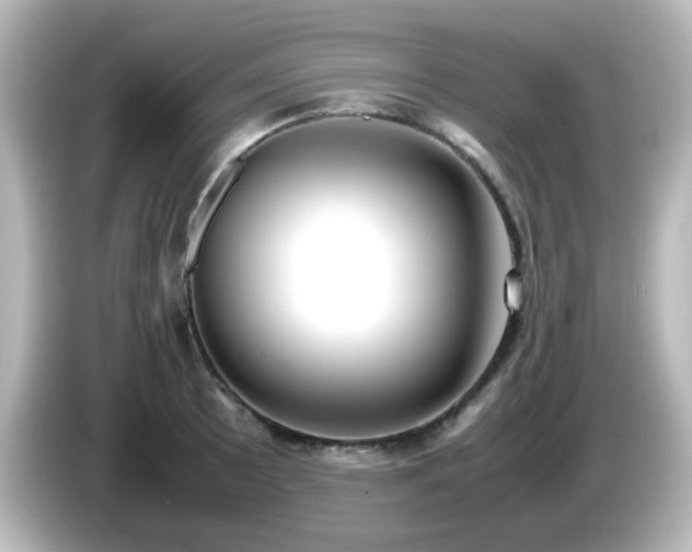 X0000085781089200703161159