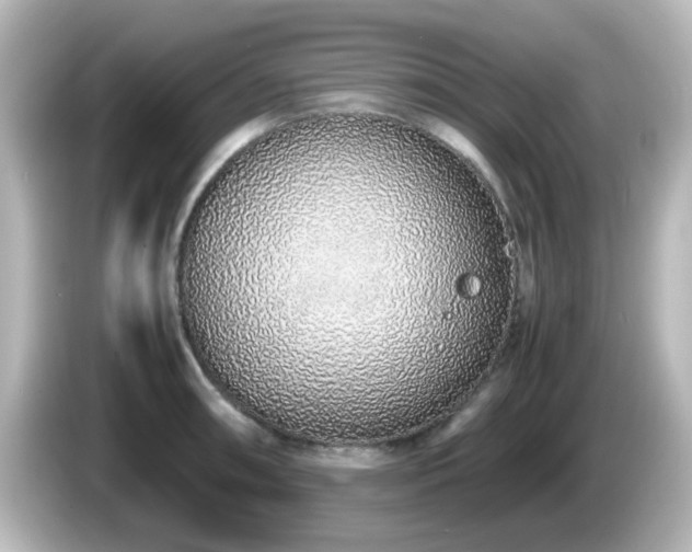 X0000085781090200703161159