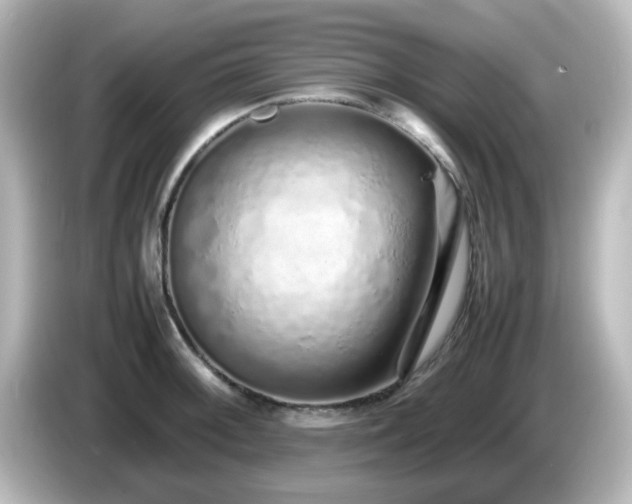 X0000085781092200703161159