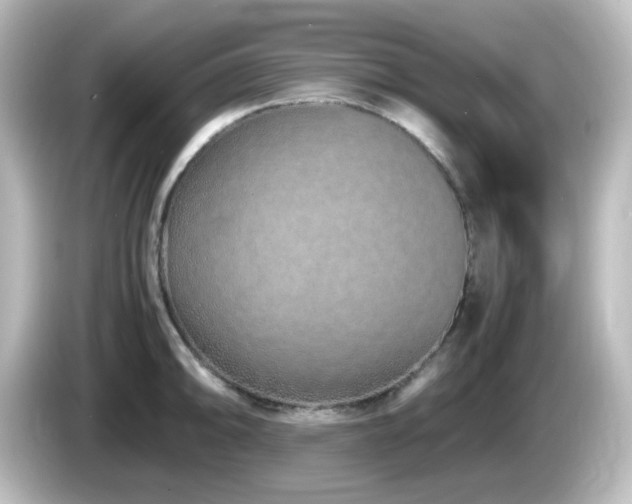 X0000085781094200703161159