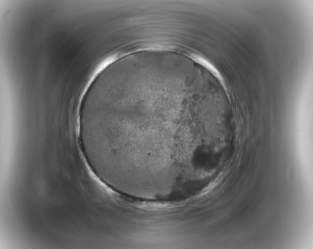 X0000085781095200703161159