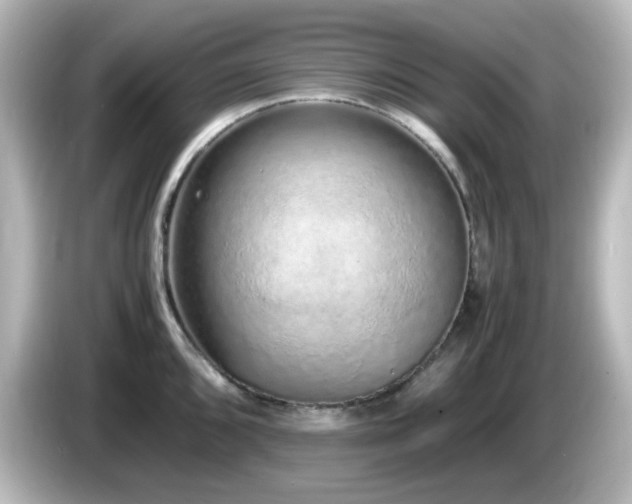 X0000085781096200703161159