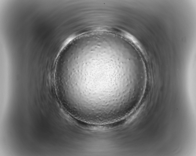 X0000085781097200703161159