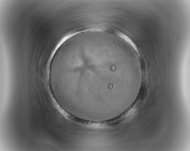 X0000085781099200703161159